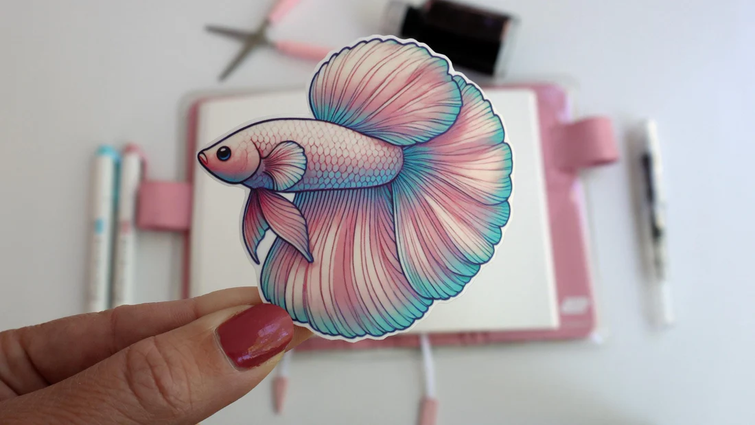 Beta Fish