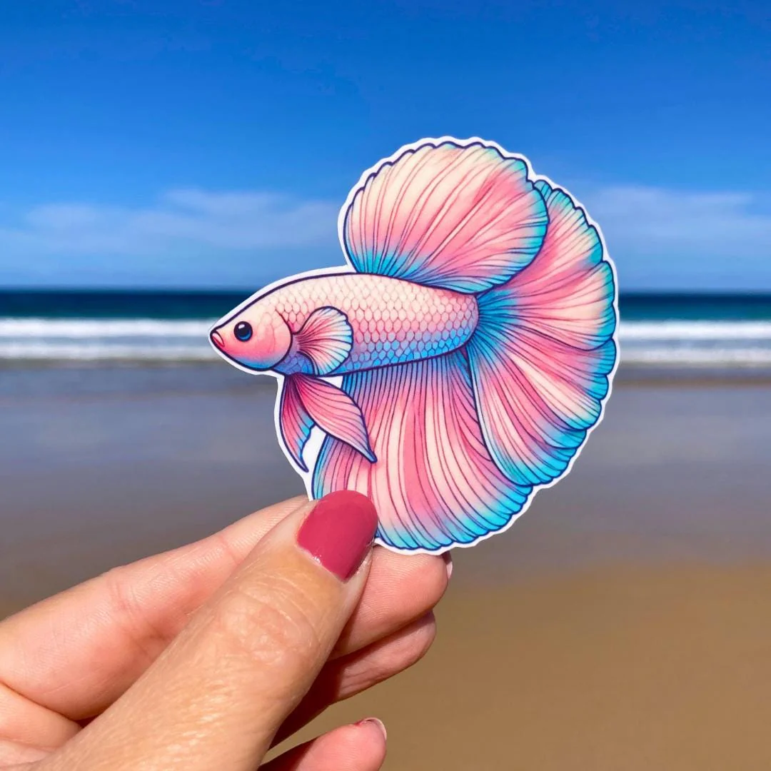 Beta Fish