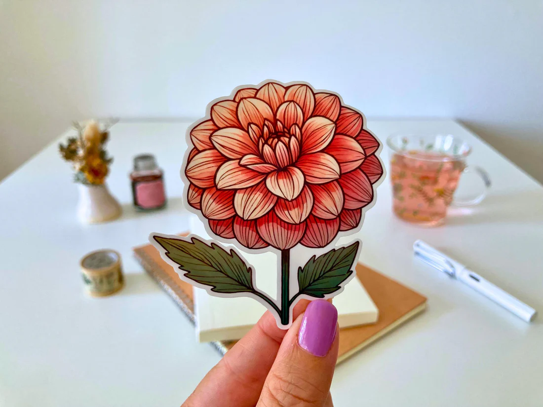 Dahlia