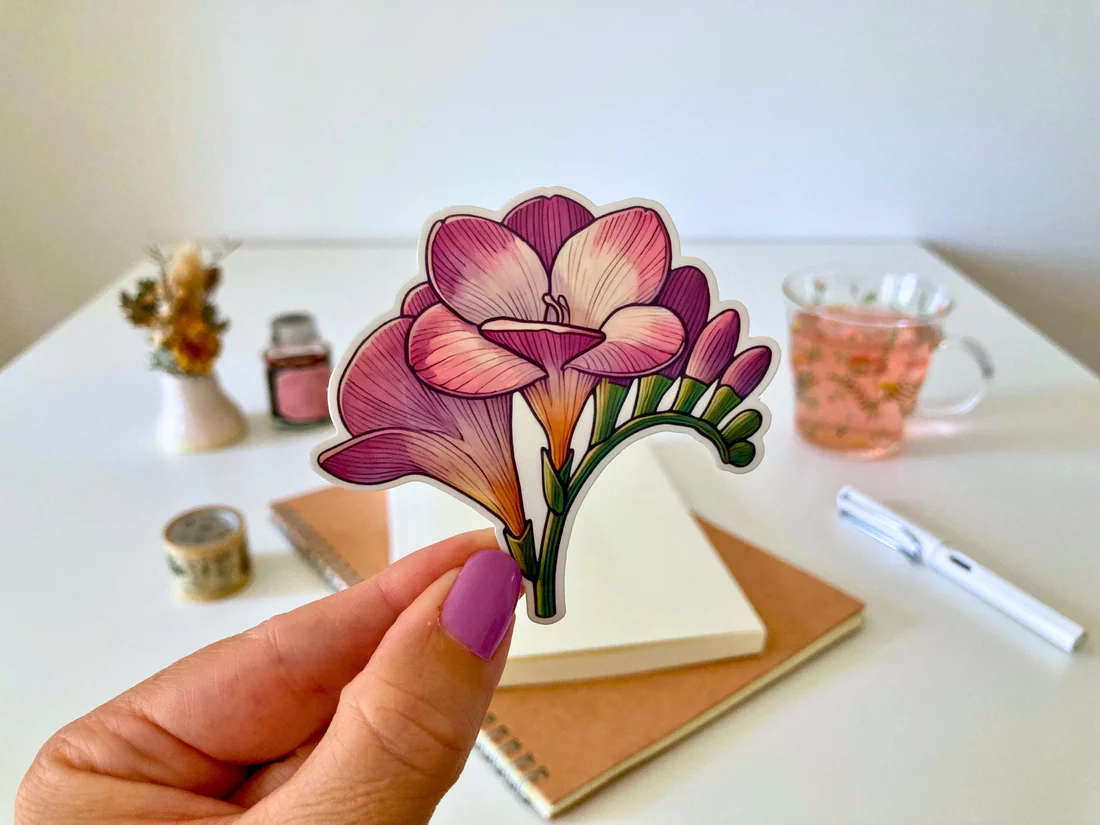 Freesia