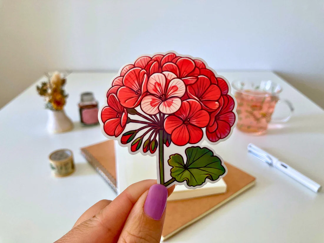 Geranium