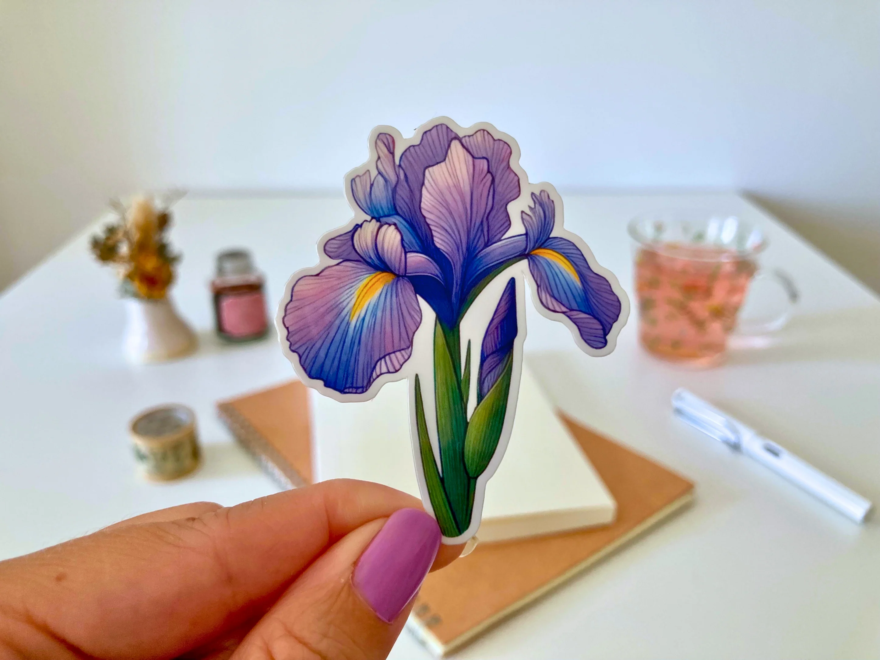 Vinyl sticker: Iris from Australian Plants and Animals collection