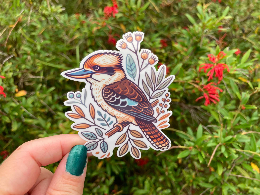 Kookaburra