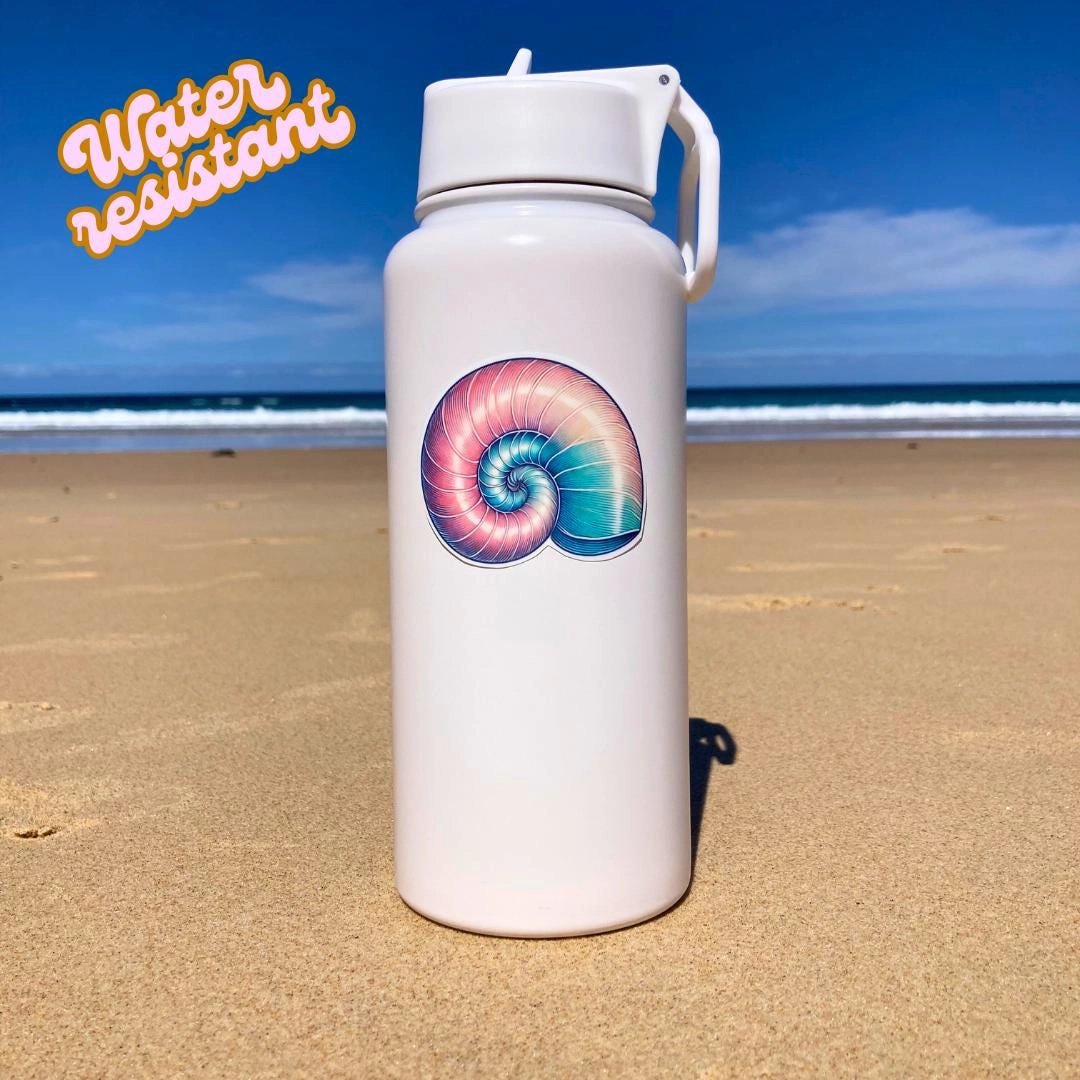 Nautilus Shell