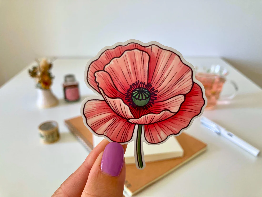 Pink Poppy