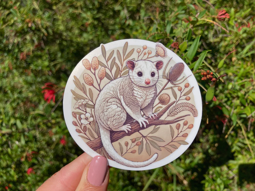 Possum
