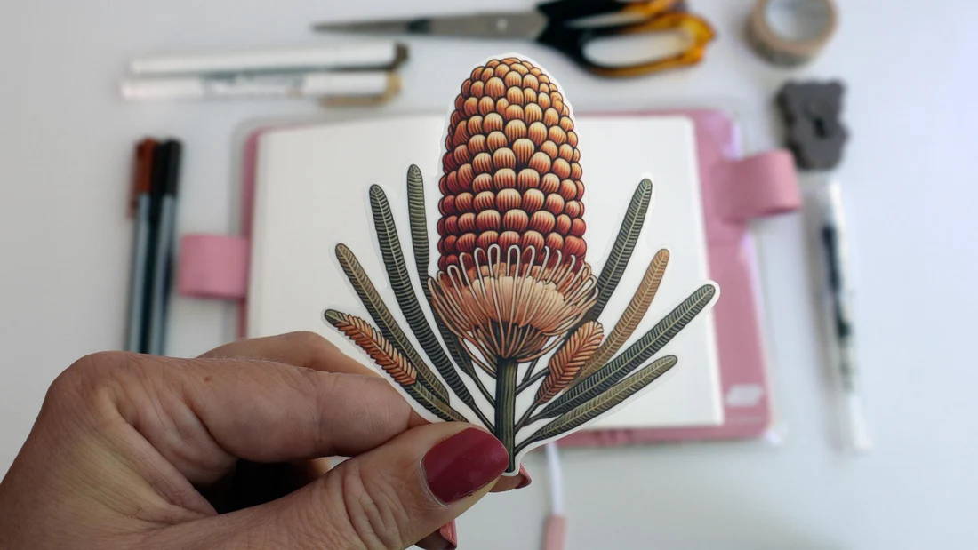 Banksia