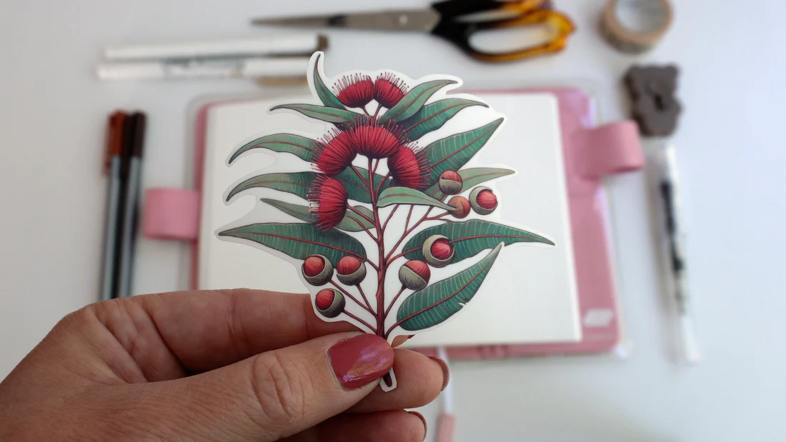 Eucalyptus