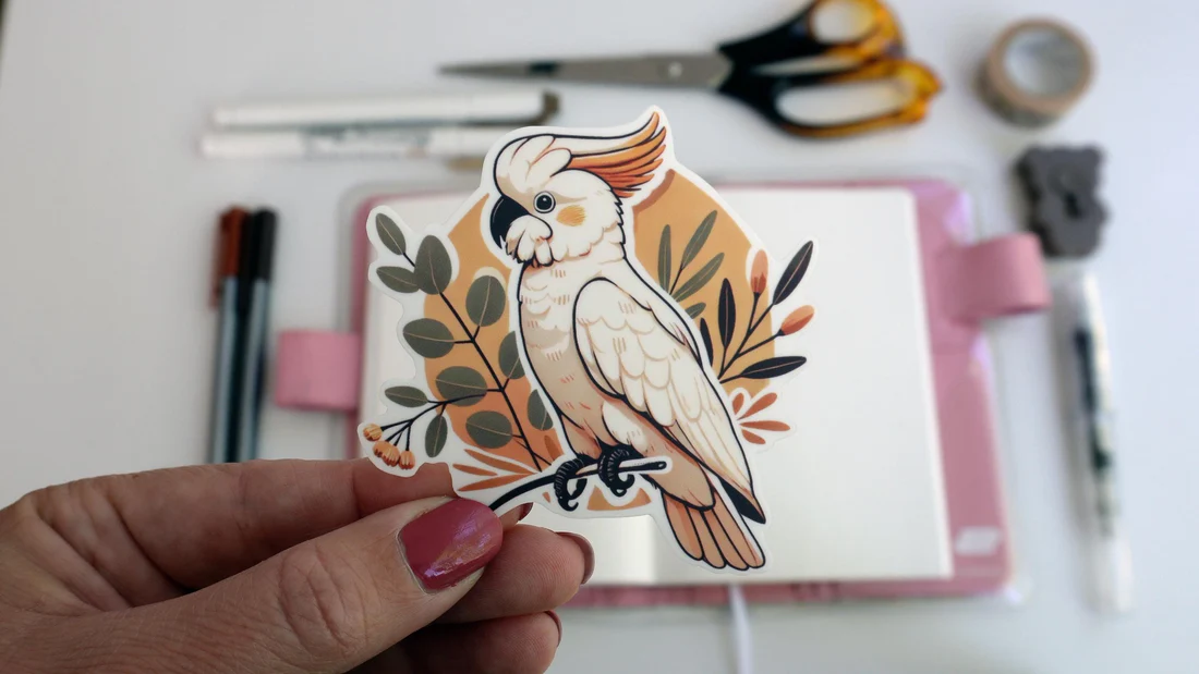 White Cockatoo